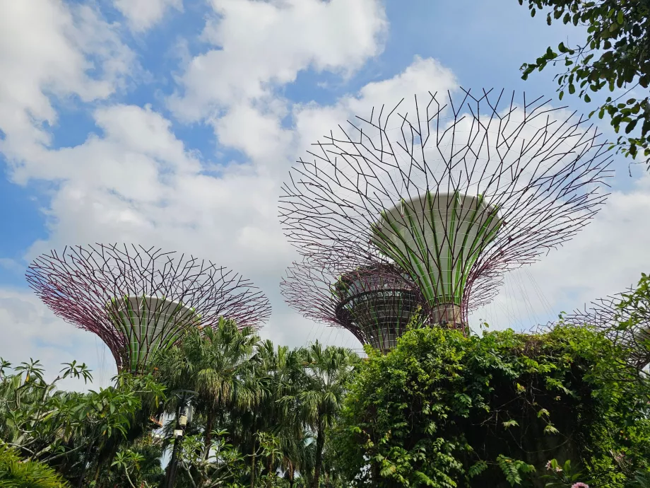 Gardens by the Bay
