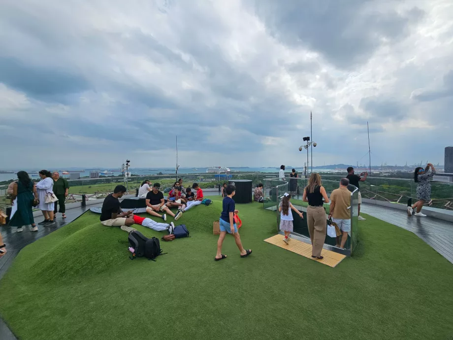 Observatorul Supertree