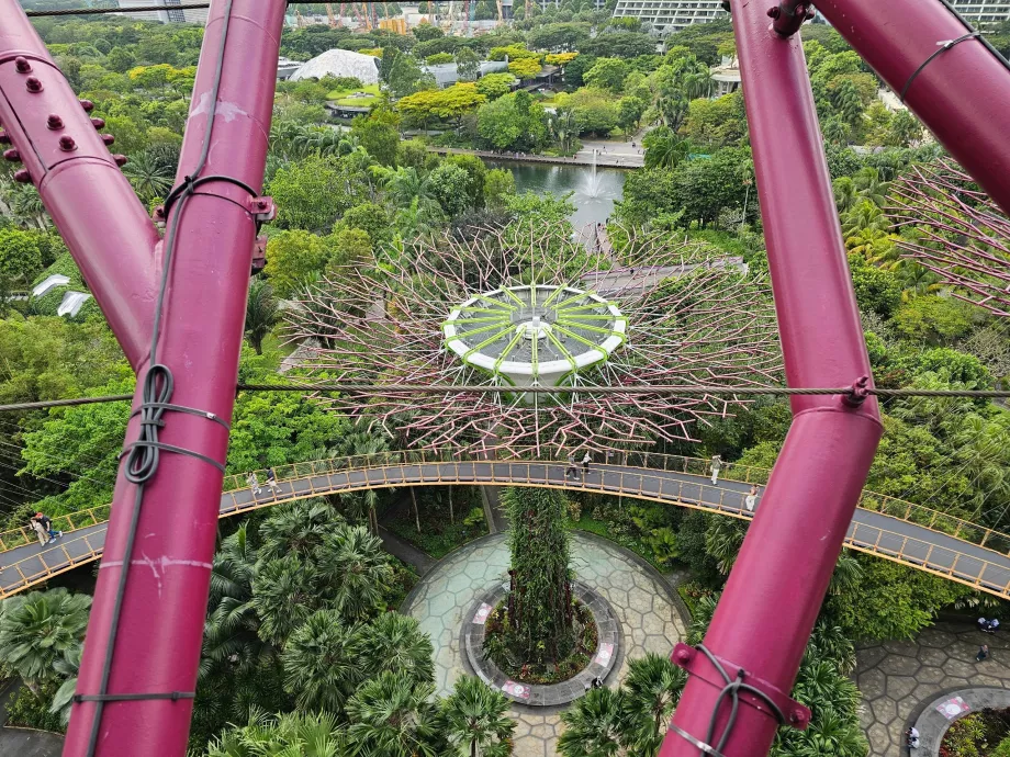 Observatorul Supertree