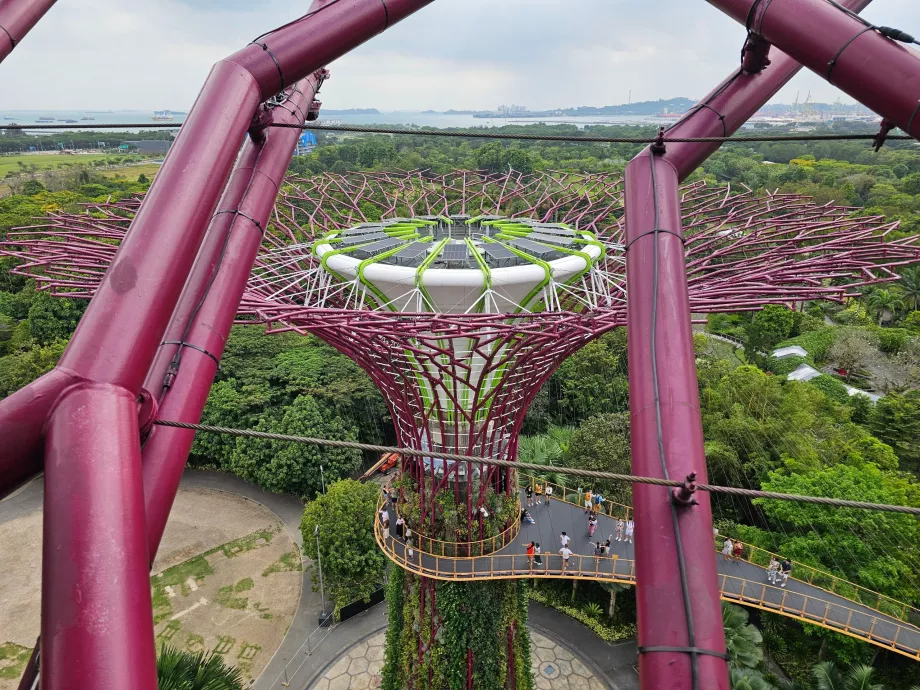 Observatorul Supertree