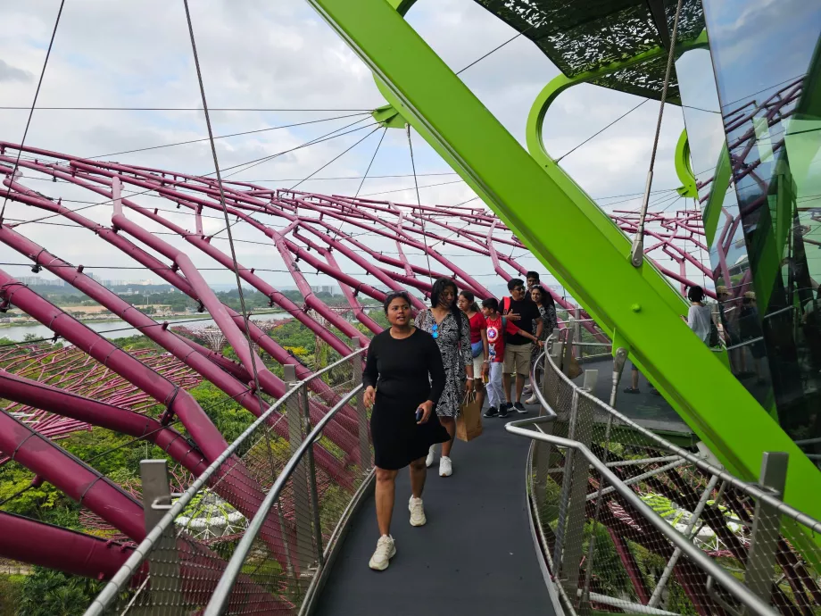 Observatorul Supertree