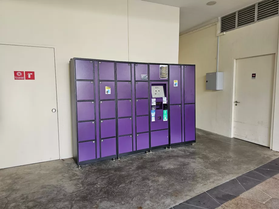 Depozitarea bagajelor la intrarea principală