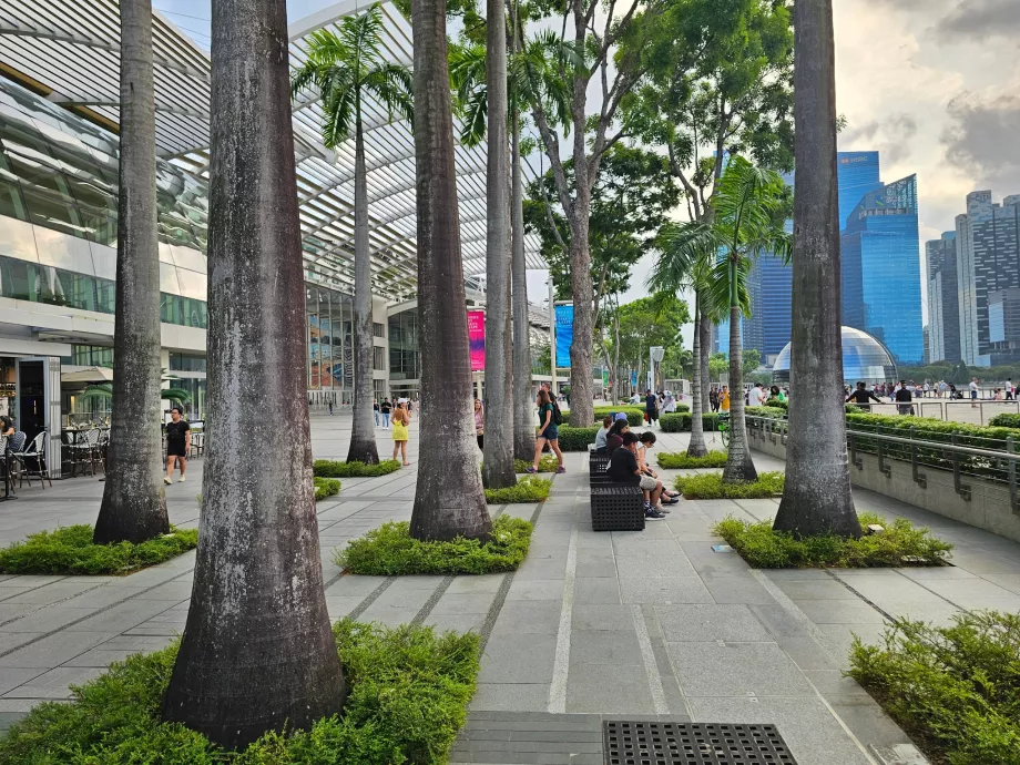 Promenadă în fața MBS