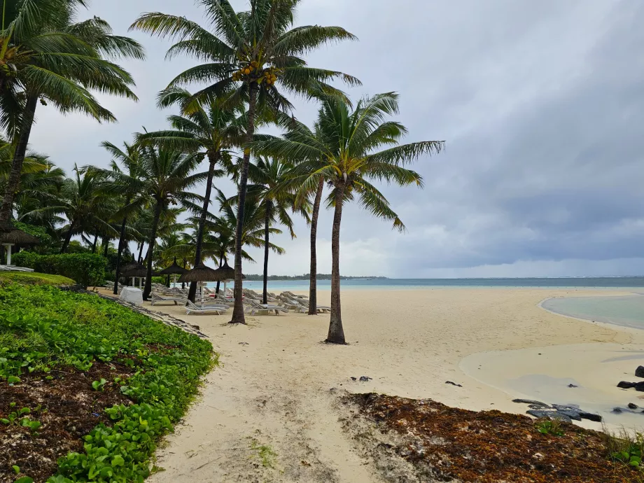 Plaja Palmar
