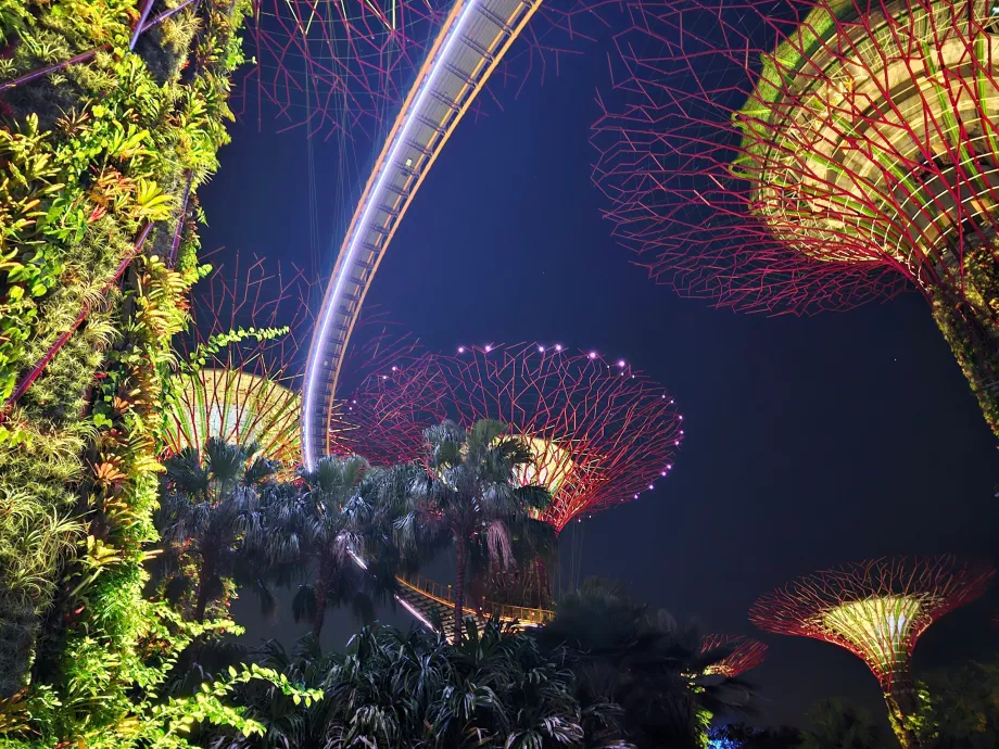 Rapsodia de grădină