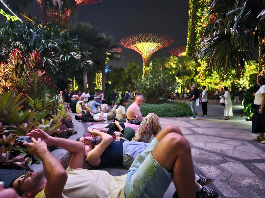 Rapsodia de grădină