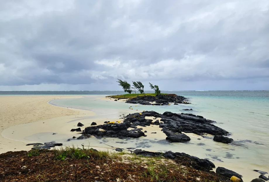 Plaja Palmar