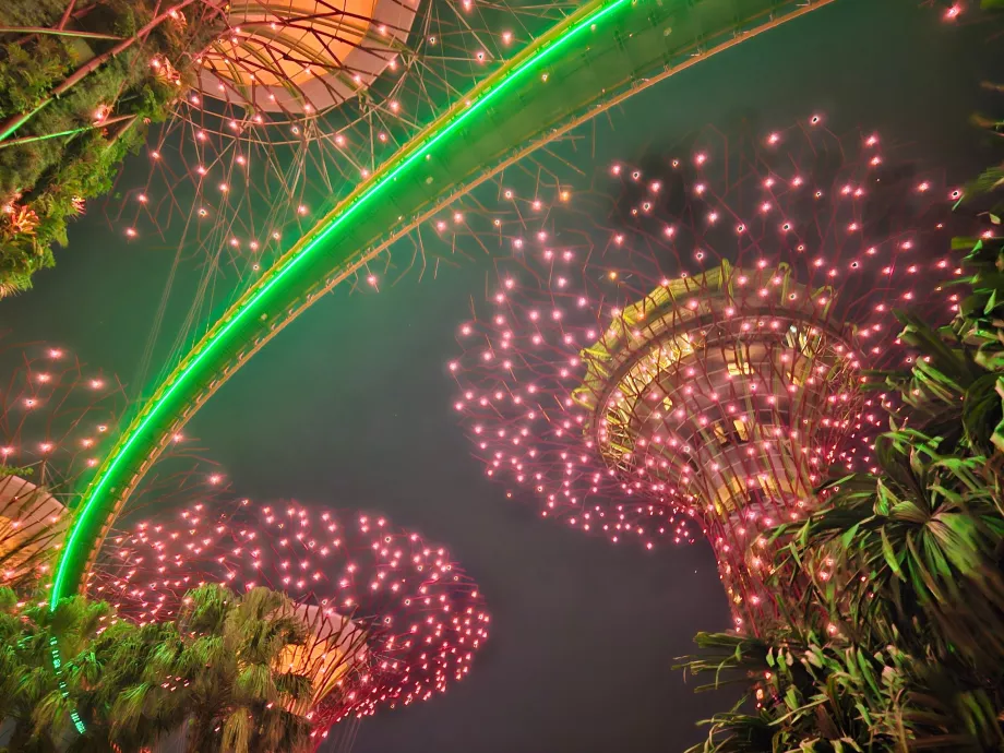 Rapsodia de grădină