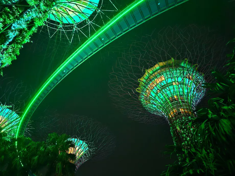 Rapsodia de grădină