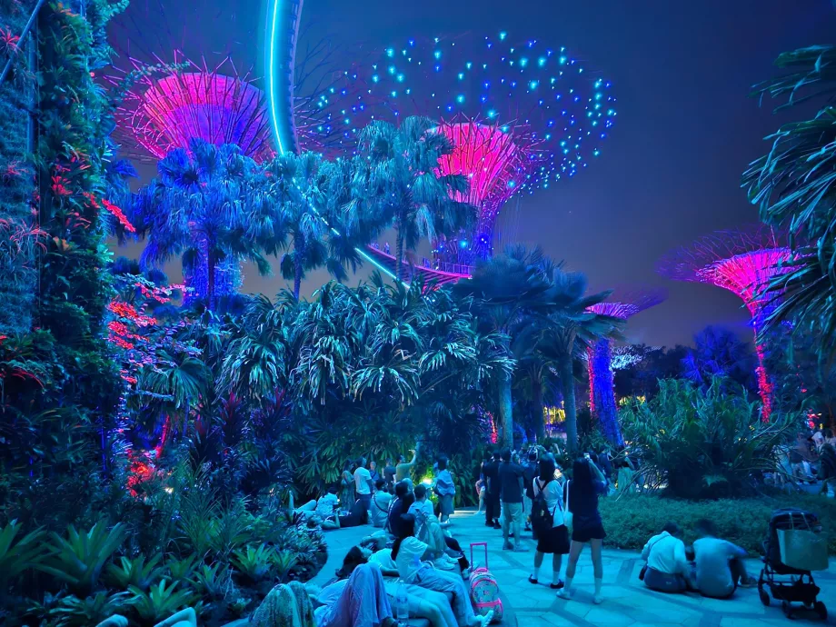 Rapsodia de grădină