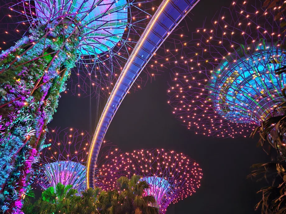 Rapsodia de grădină