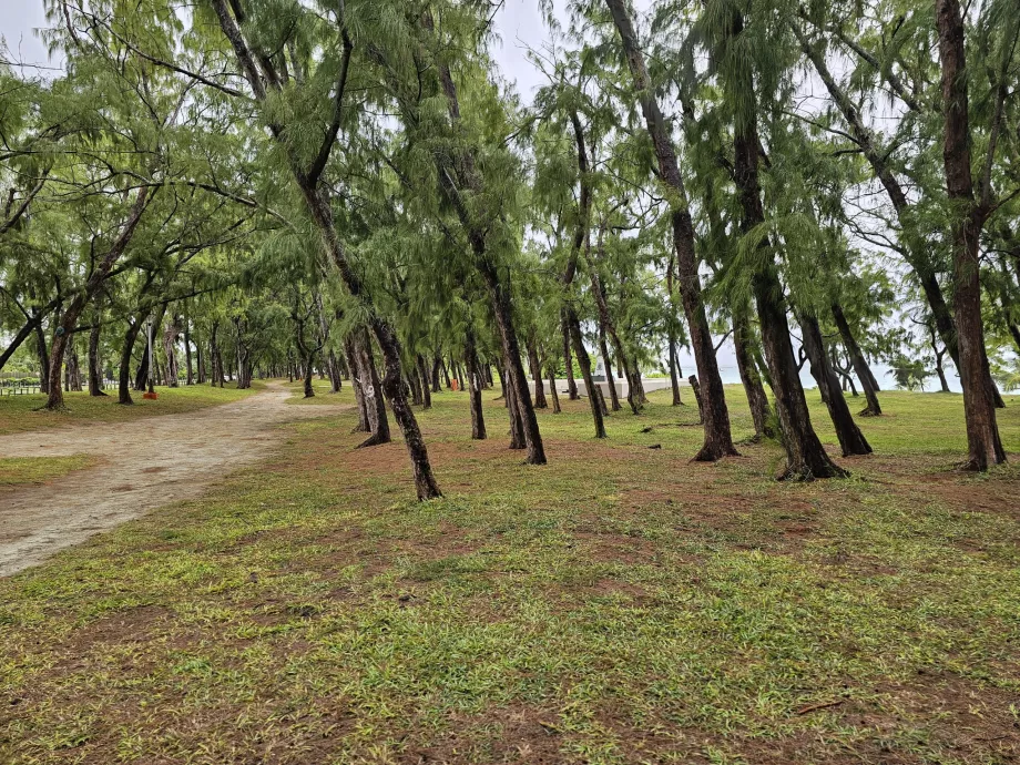 Parc în Belle Mare