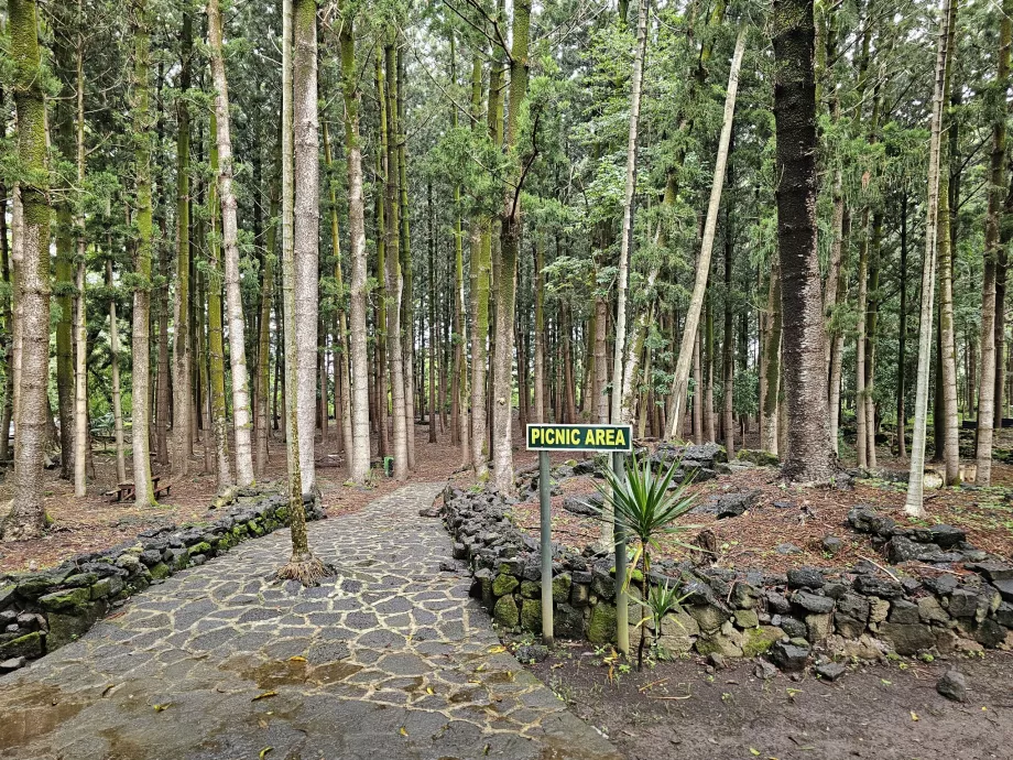 Parcul Național Bras d'Eau