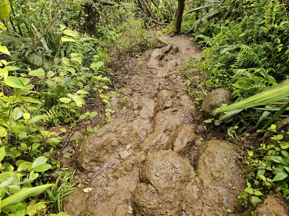 Traseu către 7 Cascade