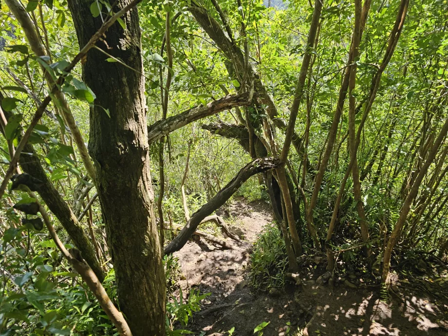 Traseu către 7 Cascade
