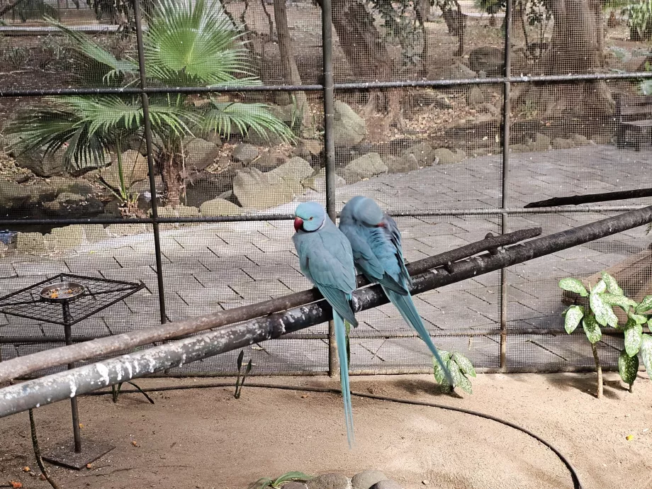Grădina zoologică Casela
