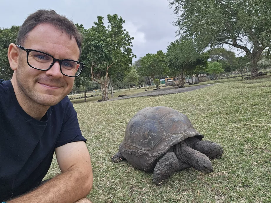 Țestoase în grădina zoologică Casela