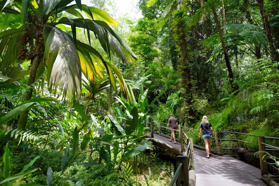Grădina Botanică Tropicală din Hawaii