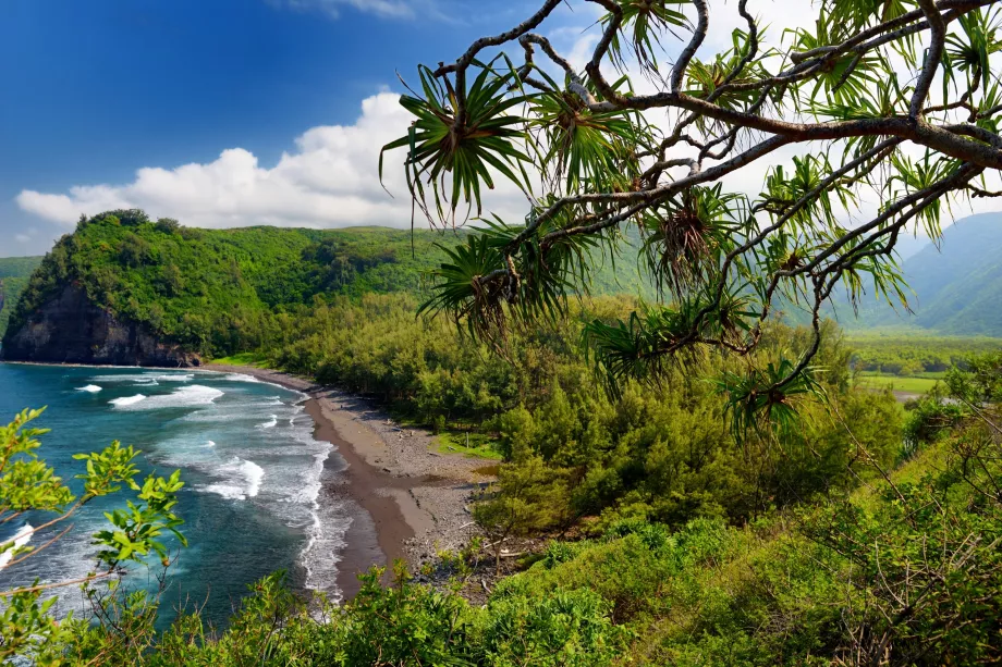 Traseul Pololu