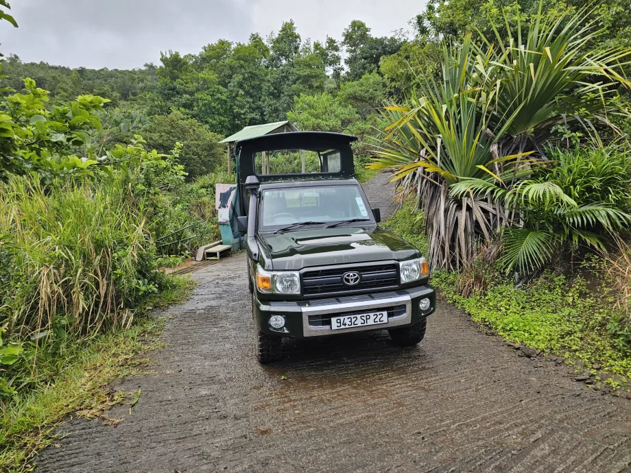 Jeep în Ebony Forest