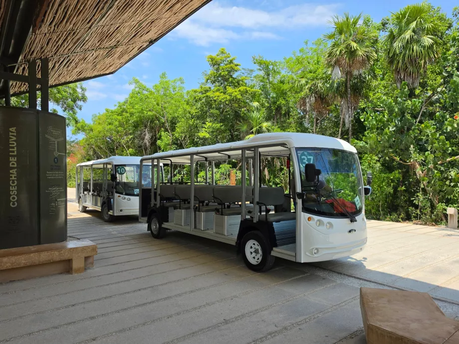 Situl arheologic din Tulum, transport cu autobuzul electric
