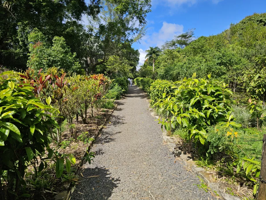 Saint Aubin, grădină botanică