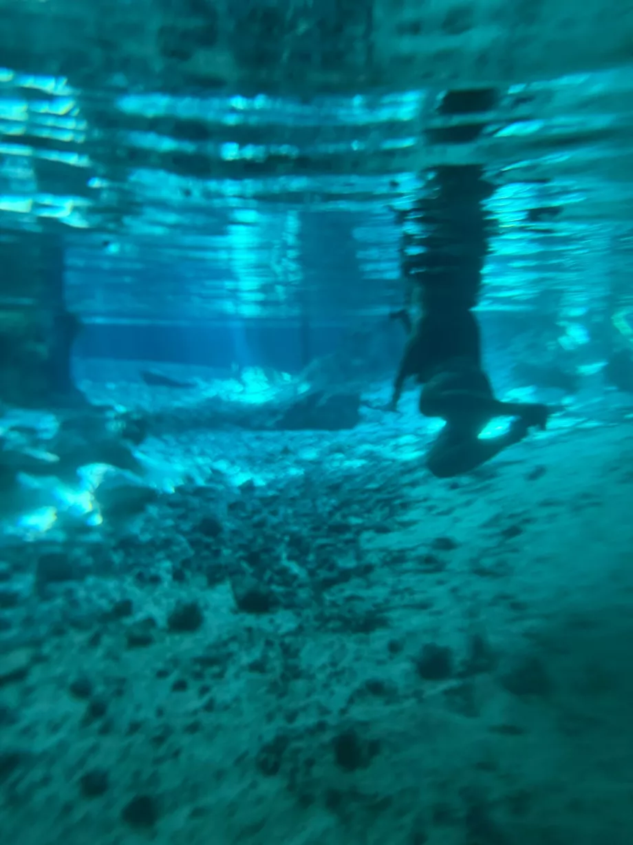 O priveliște sub apă la Gran Cenote