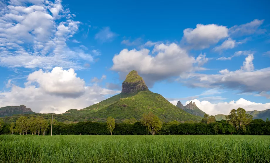 Munții din Mauritius
