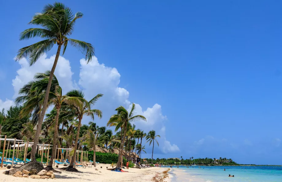 Plaja Akumal