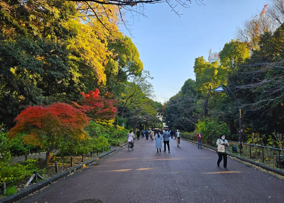 Parcul Ueno