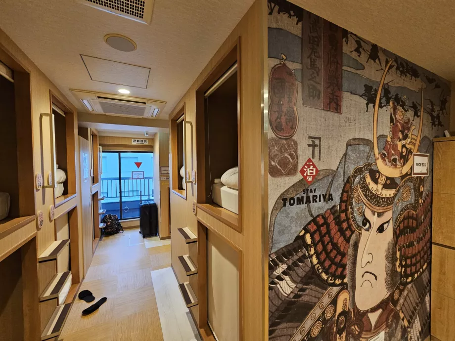 Zona comună și capsula de deasupra