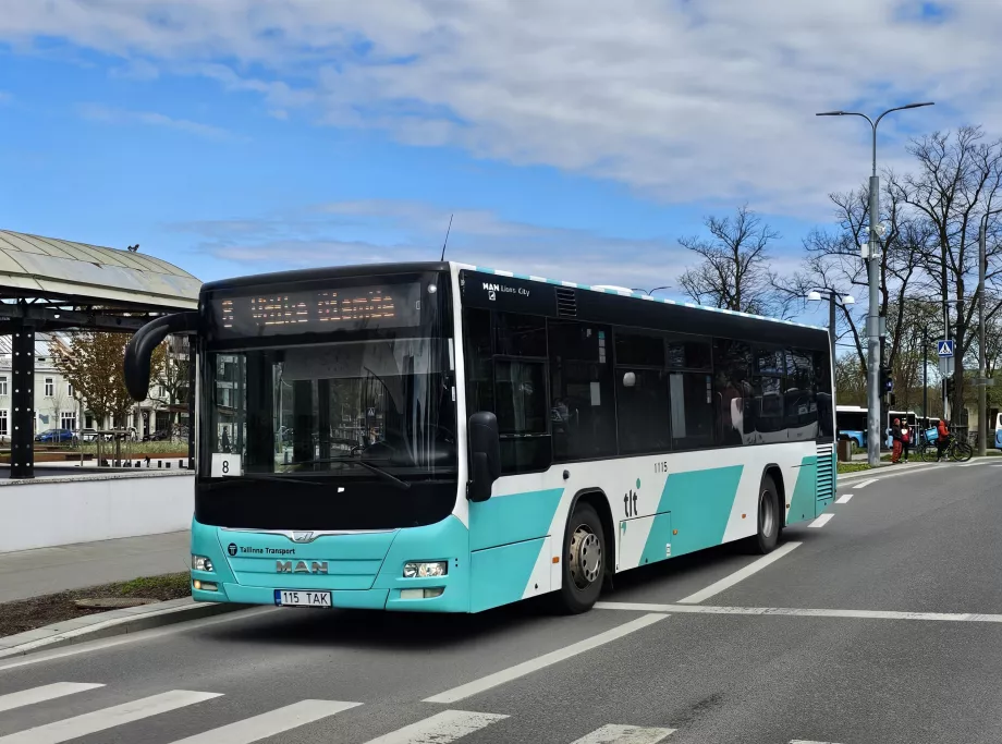 Autobuze Tallinn