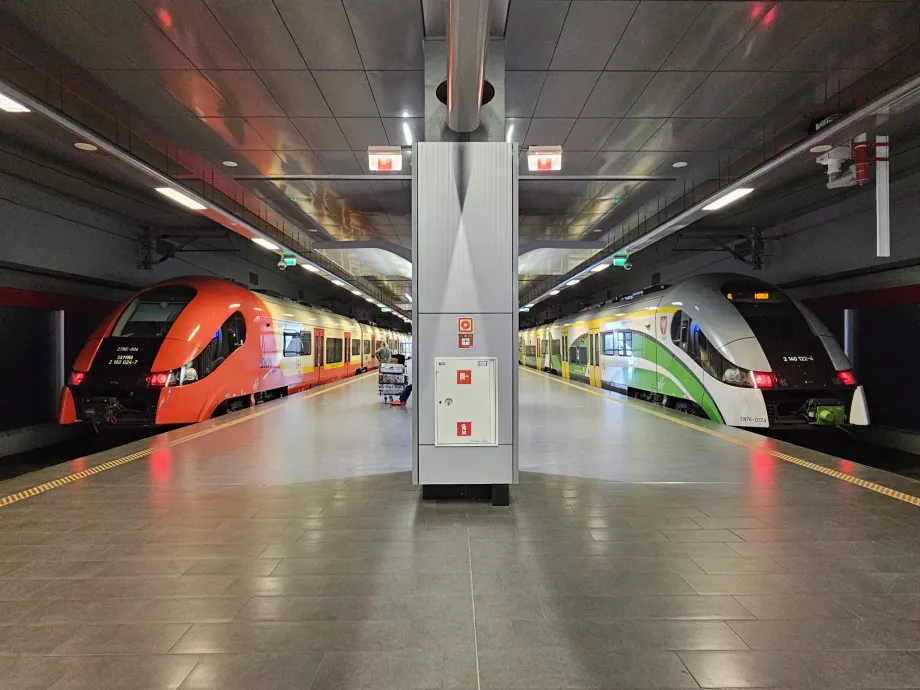 Platformele trenurilor - pe trenul din stânga al liniei S (SKM), pe trenul din dreapta al liniei RL