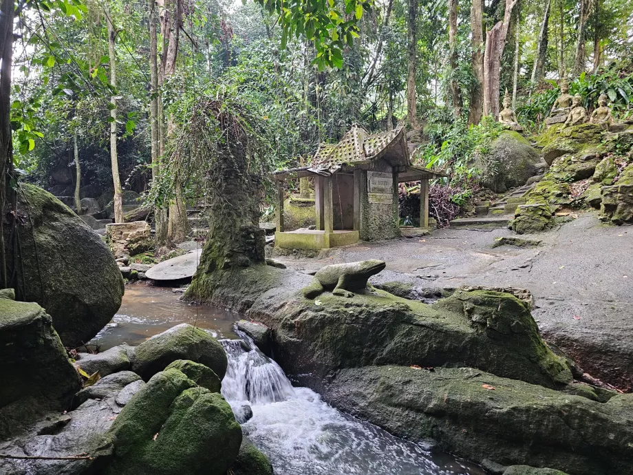 Grădina magică Tamrin