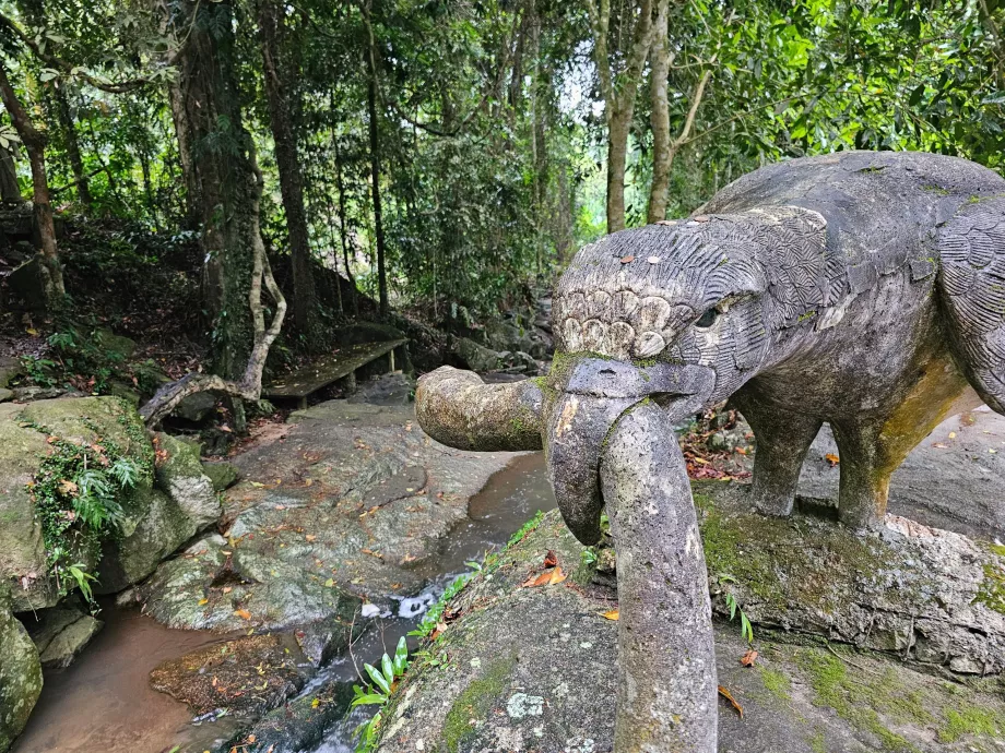 Grădina magică Tamrin