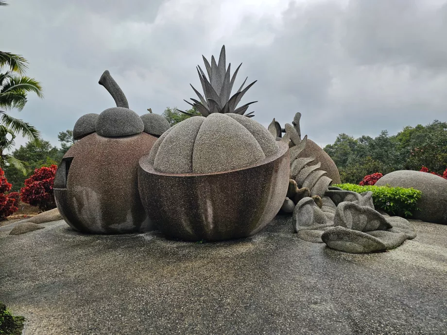 Fructe magice de piatră