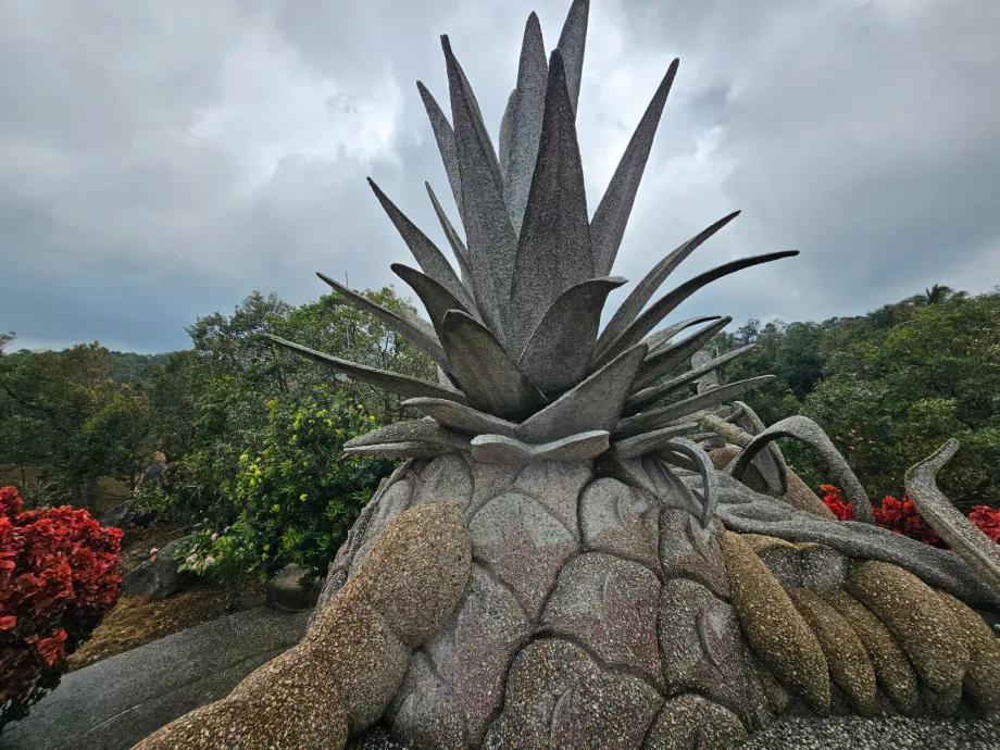 Fructe magice de piatră