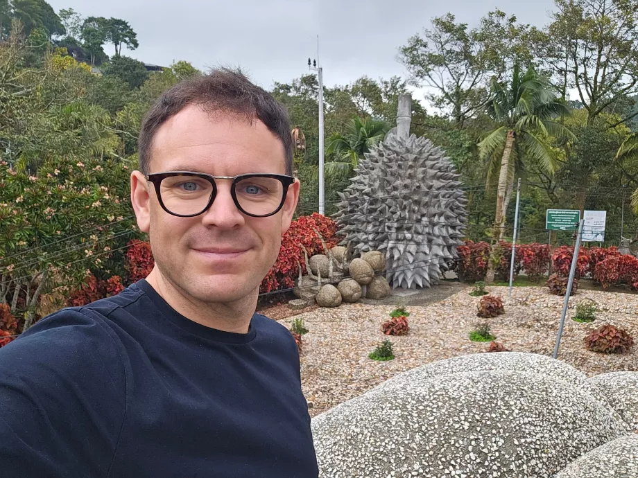 Fructe magice de piatră