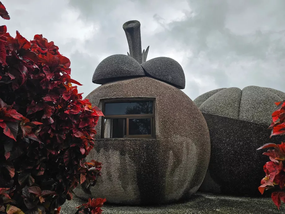 Fructe magice de piatră