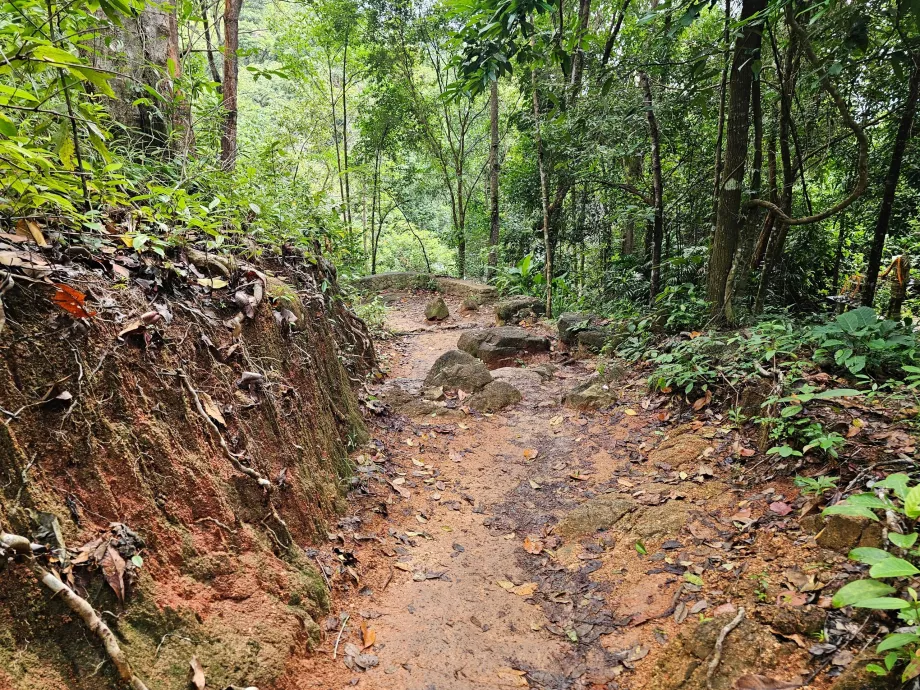 Drumul spre cascada Namuang 2