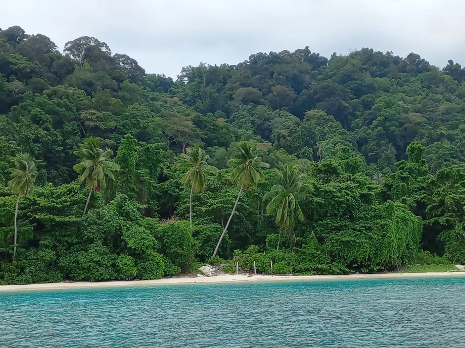 Plaja Teluk Pauh, Perhentiany, Malaezia