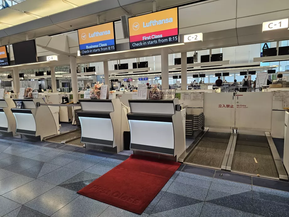 Check-in la Aeroportul Haneda