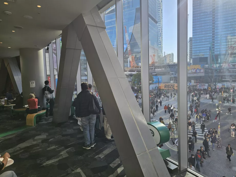 Vedere de la Starbucks