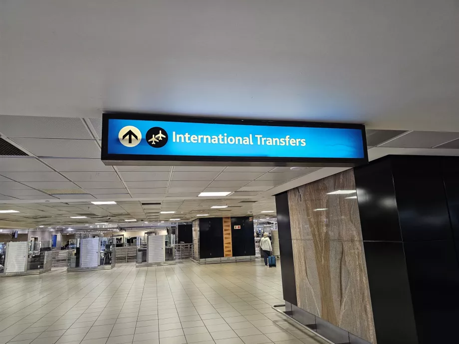 Transfer internațional