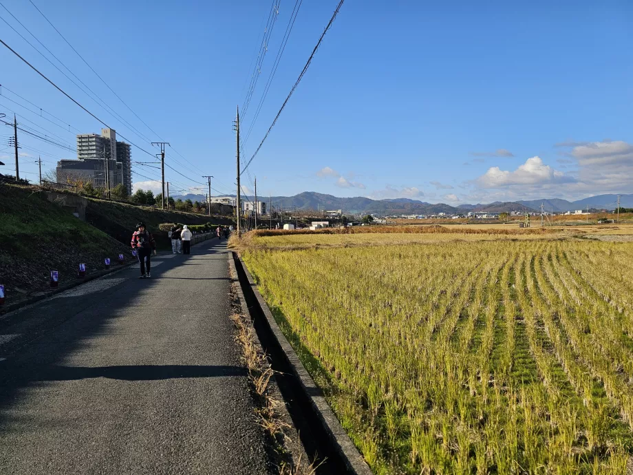 Plimbare de la gară la vapor