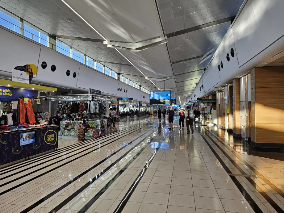 Secțiunea tranzit internațional