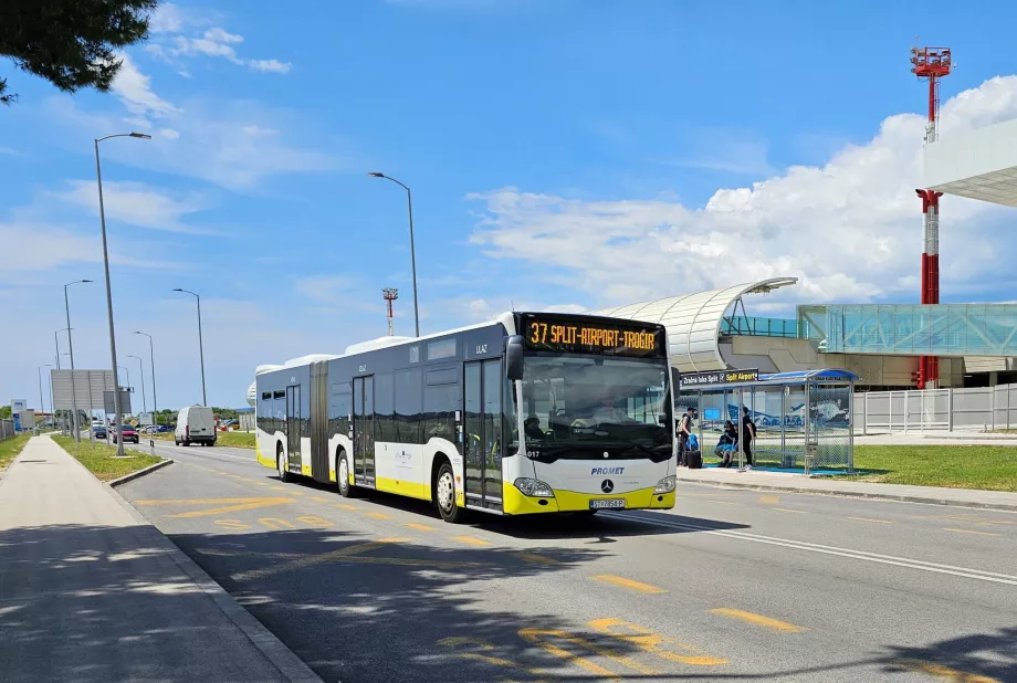 Linia de autobuz 37