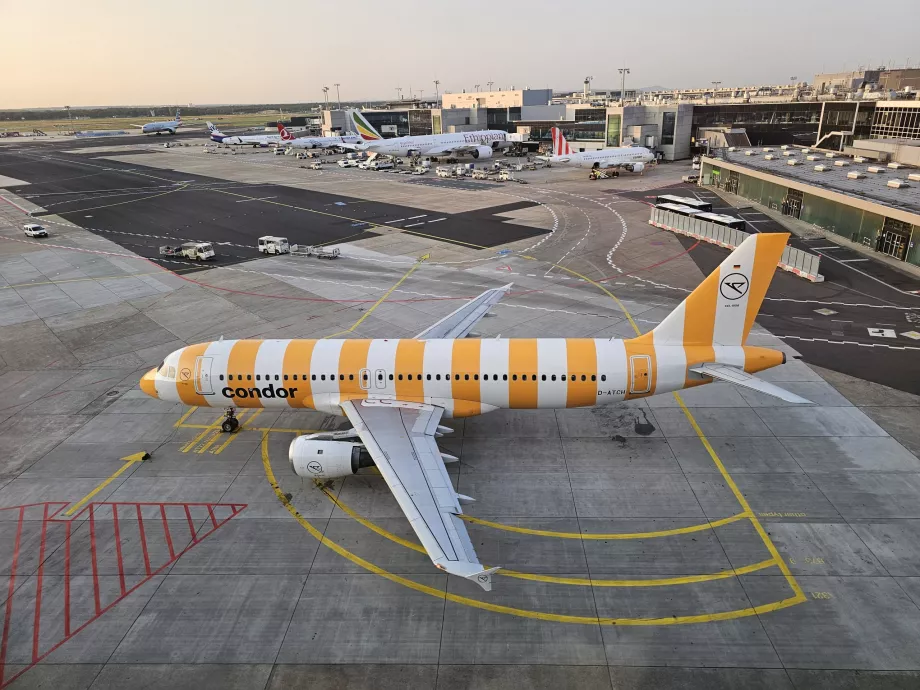 Un Airbus A320 galben pe aeroportul din Frankfurt