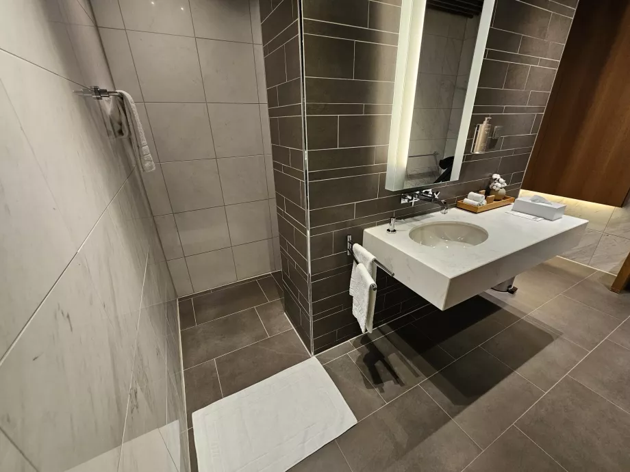 Salonul First Class (Terminalul principal) - duș