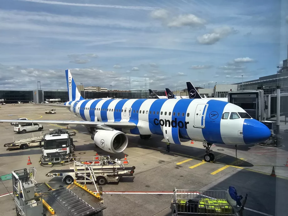 Albastru Airbus A320 Condor